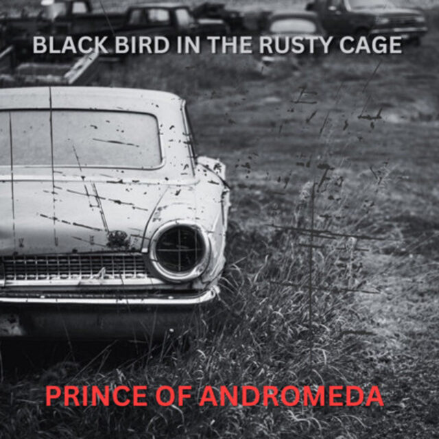 Cover art for Black Bird in the Rusty Cage by Prince of Andromeda